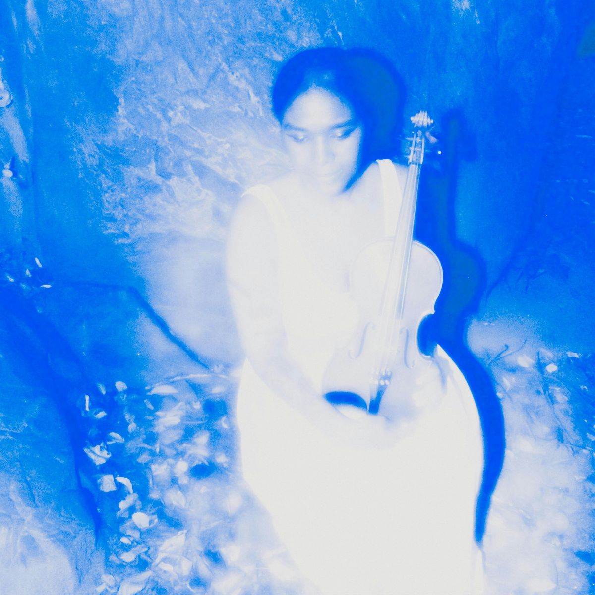 Shinboku: Prophet-5, 8 December | Event in New York | AllEvents