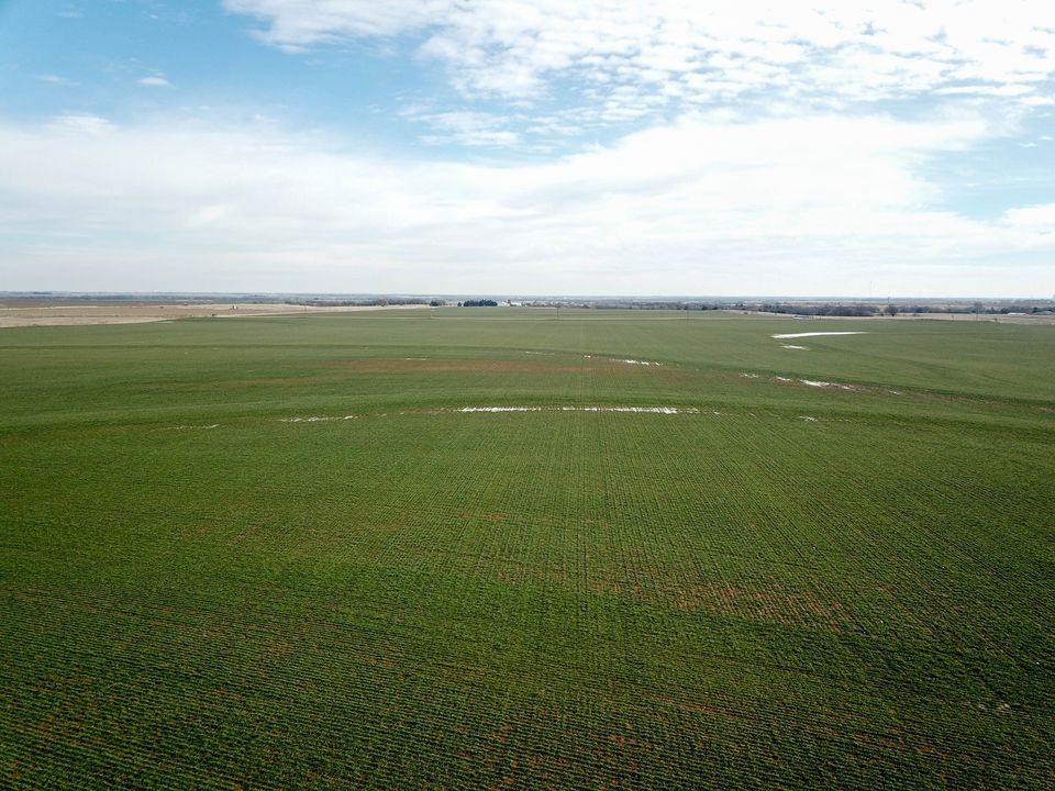 227 Ellis Land Auction, 201 Old Stabe Ln, Lahoma, OK 73754, United