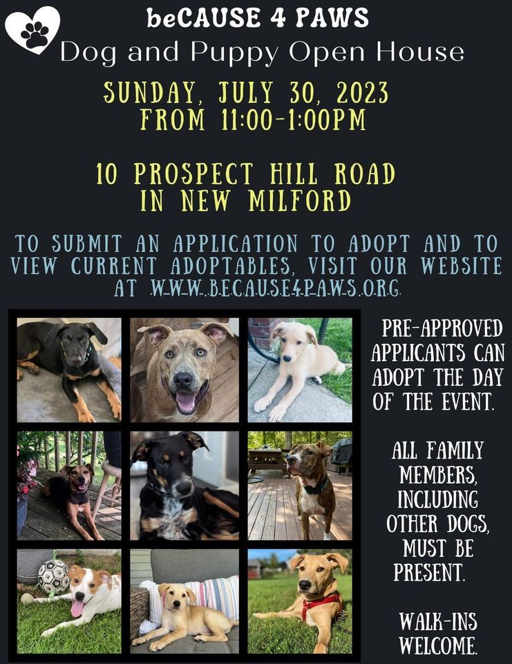 Dog and Puppy Adoption Event, Because 4 PAWS Animal Rescue, New