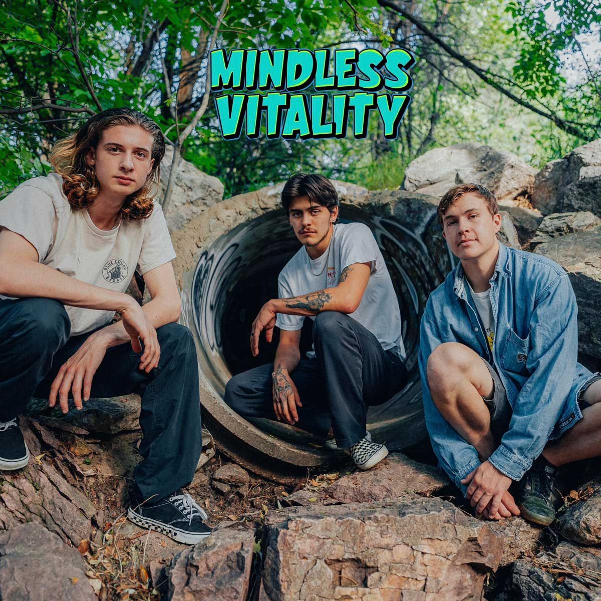 Mindless Vitality, 13 December | Event in Colorado Springs | AllEvents
