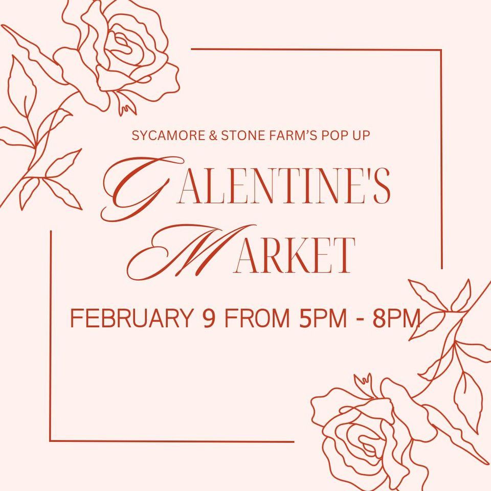 Galentine’s Day Market, Sycamore and Stone Farm, Exton, February 9 2024