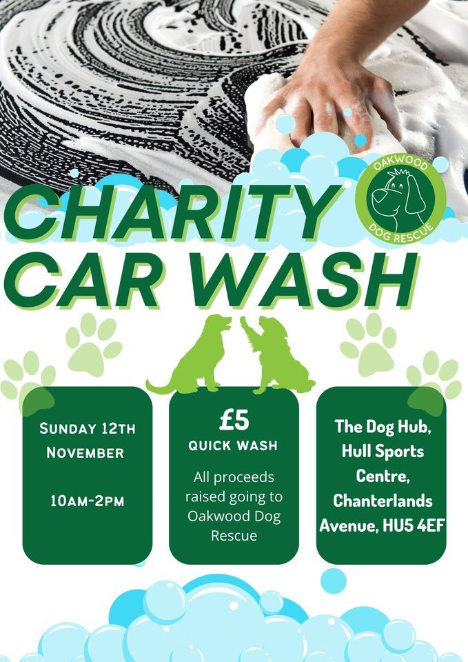 Oakwood Charity Car Wash, The Dog Hub at Oakwood Dog Rescue, Kingston