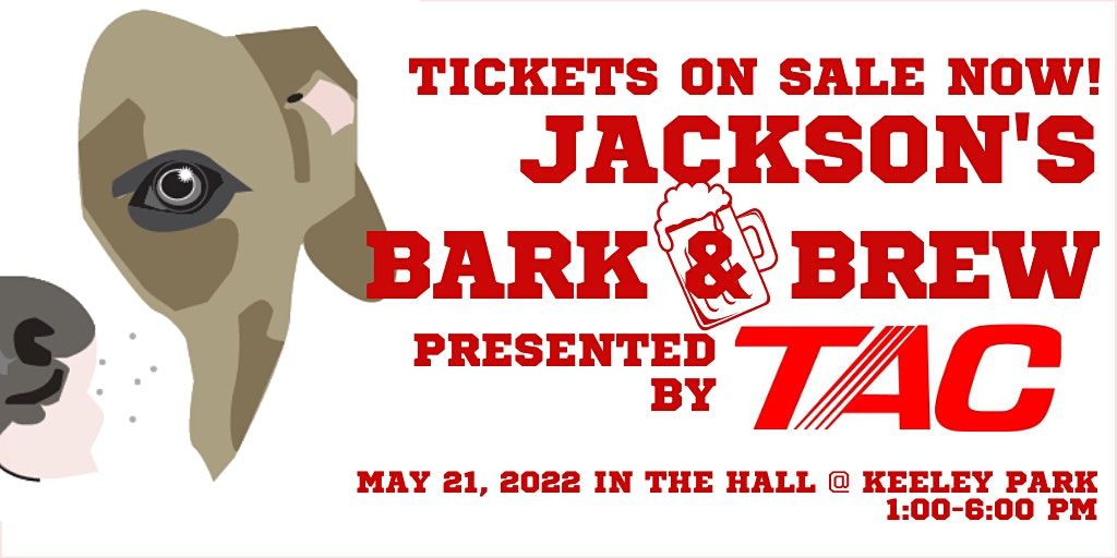 Dog Events In Jackson Mi Dog Training Classes Workshops In Jackson Mi 2022 Dog Events In Michigan