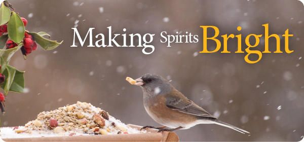 Sip, Shop & Save, Wild Birds Unlimited (Summerville, SC), December 9