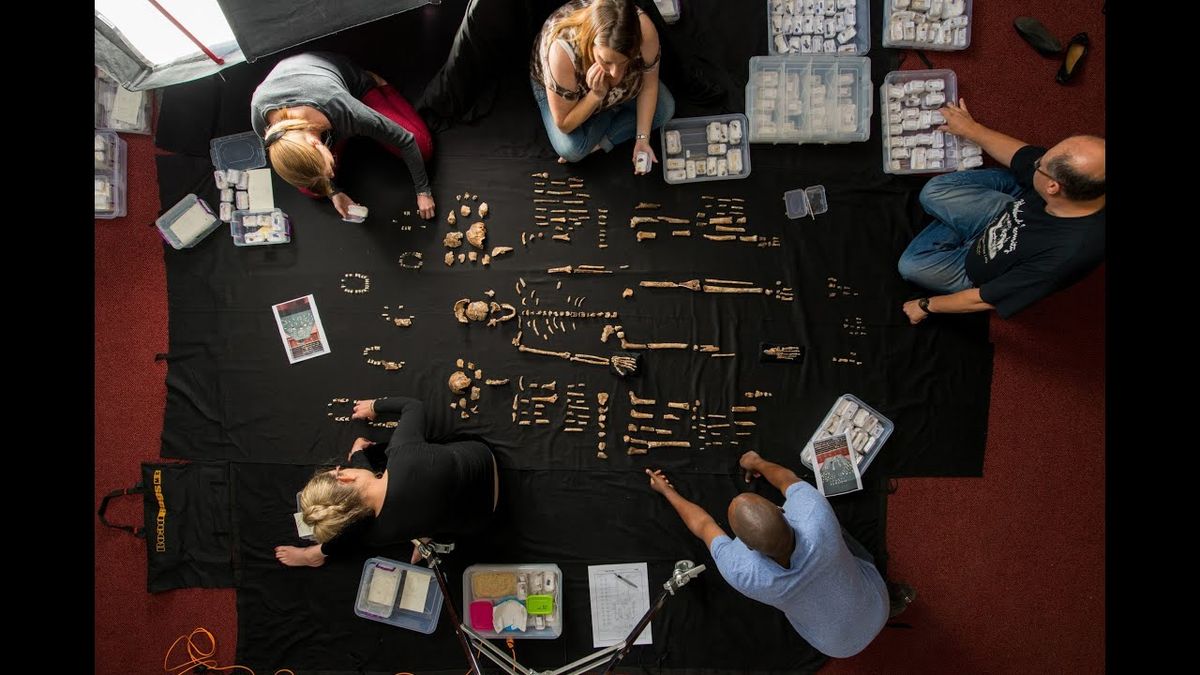 Lee Berger - Cave of Bones at Jack Singer Concert Hall at Arts Commons, 31 May | Event in Calgary | AllEvents