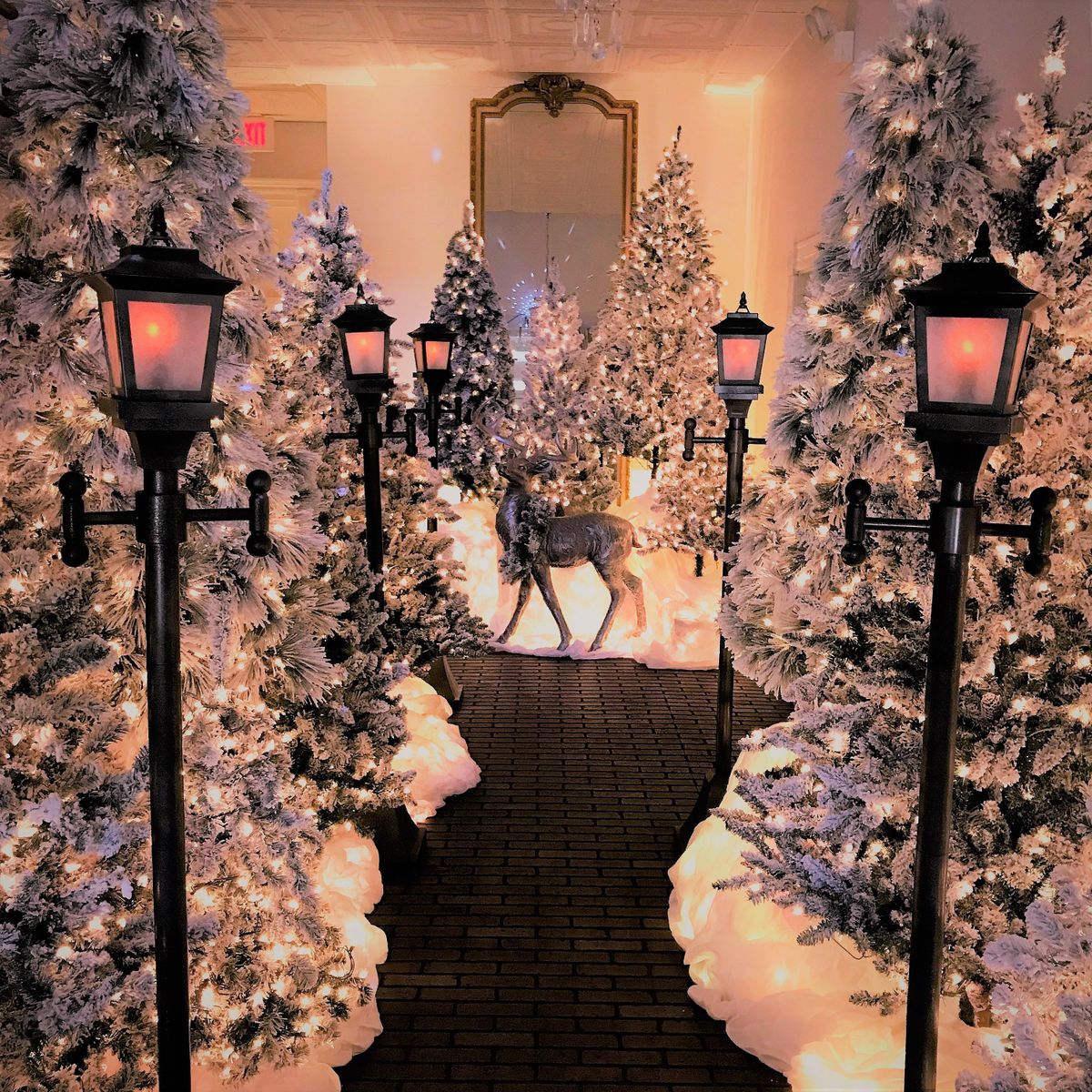 Jordan Springs Estate Candlelight Christmas Tours, Jordan Springs