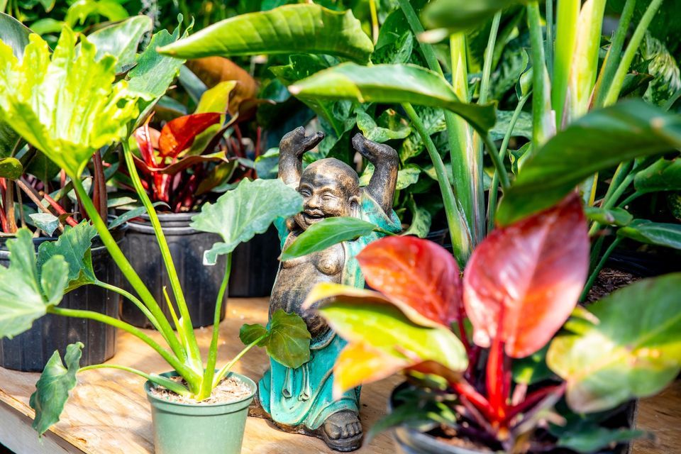 Secret Gardens Tour 2023, Regina, Sask, 21 July to 22 July AllEvents.in