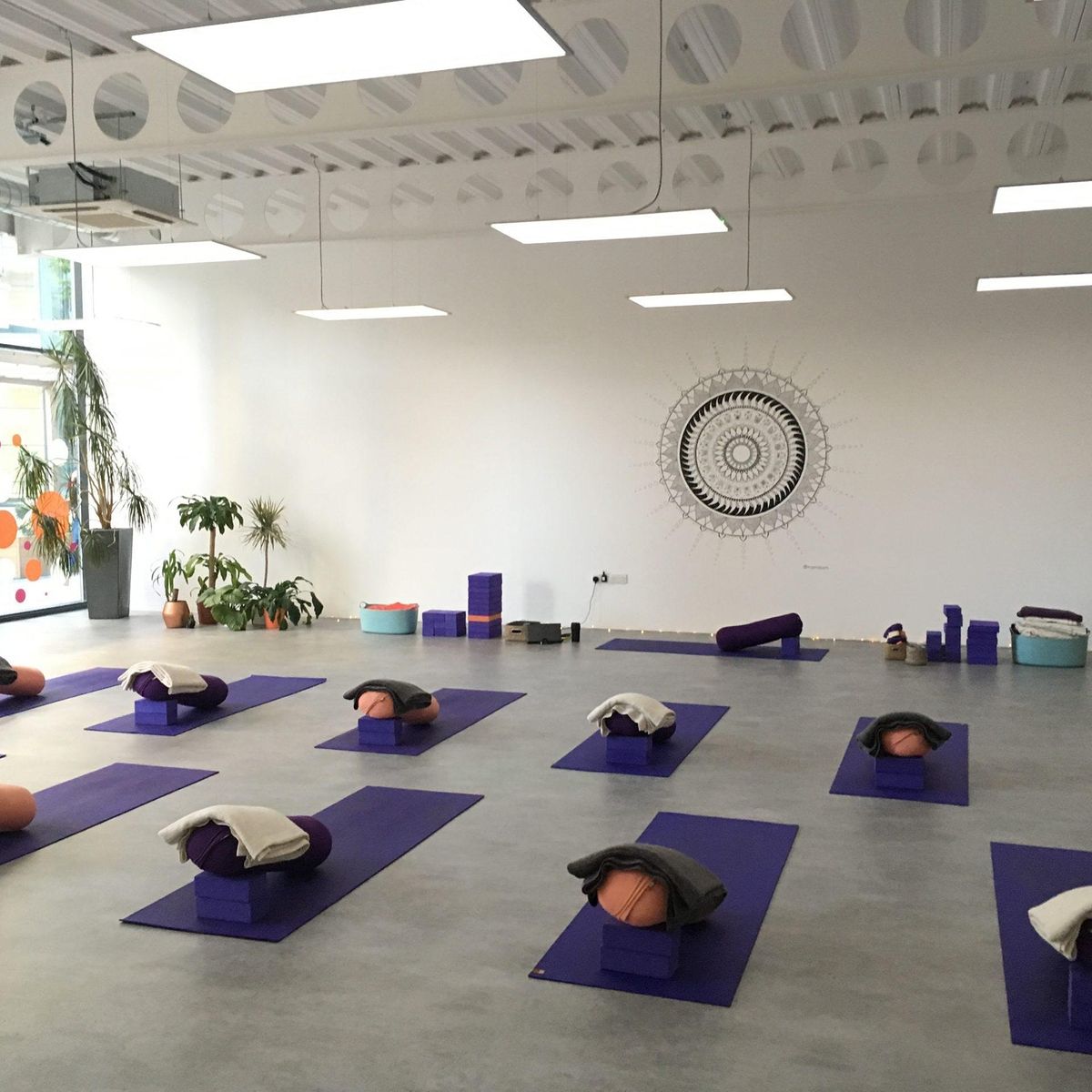 Yin Yoga Teacher Training, November 2021
