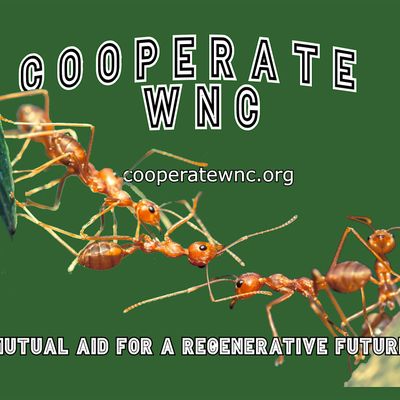 Cooperate WNC