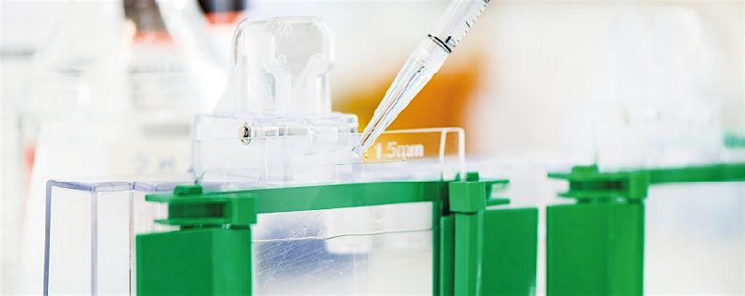 Lunch and Learn, 25 November | Event in Leeds | AllEvents