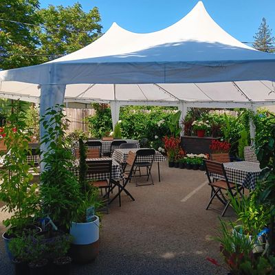 La Herbalista Plant Nursery & Gift Shop logo