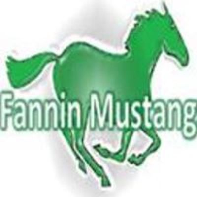 Fannin Elementary PTA, Midland, Texas