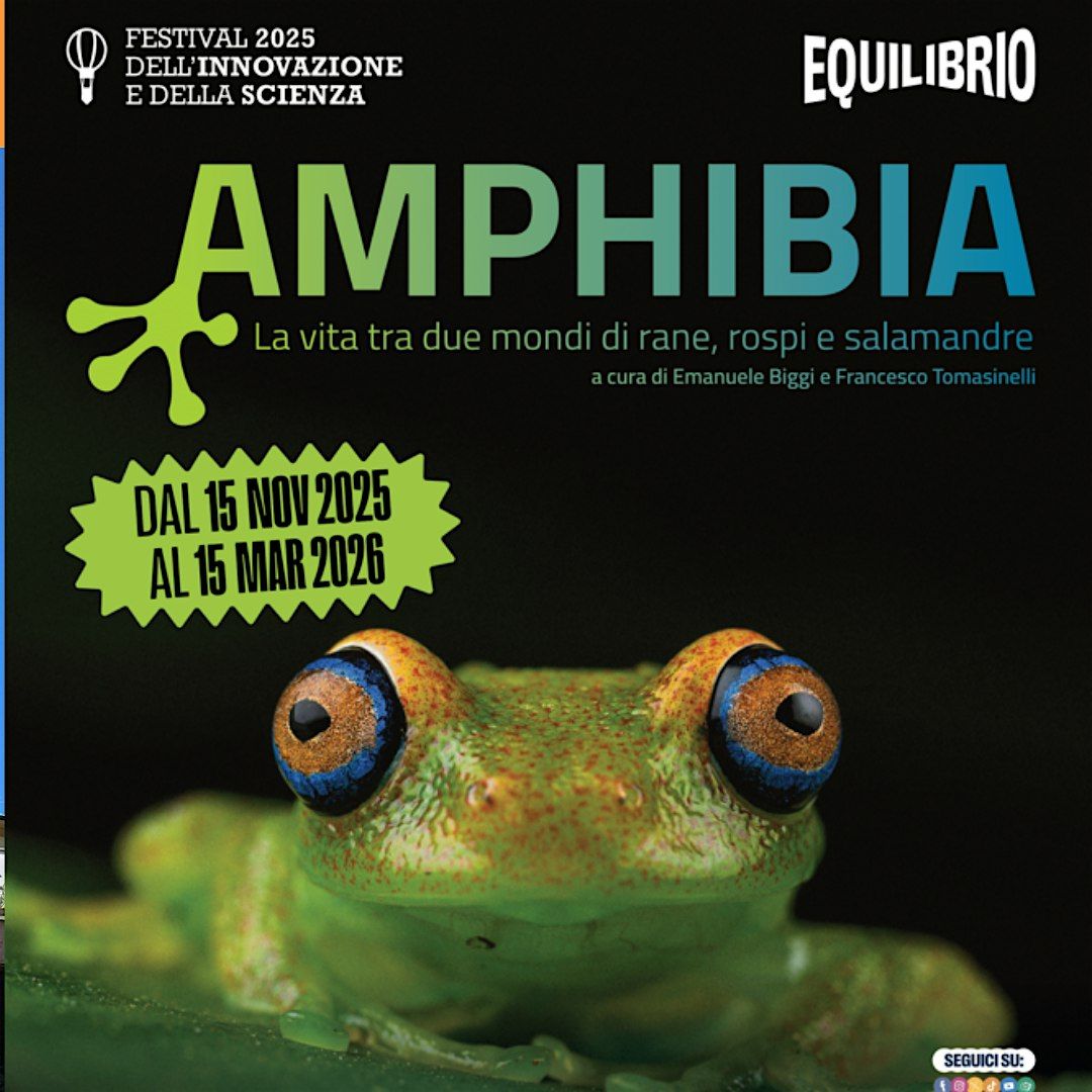 APERTURA STRAORDINARIA Visita guidata alla mostra AMPHIBIA, 23 December | Event in Settimo Torinese | AllEvents