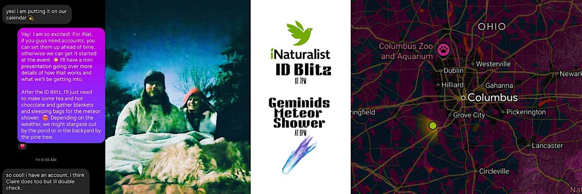 iNat ID Blitz & Geminids Meteor Shower Viewing, 13 December | Event in London | AllEvents