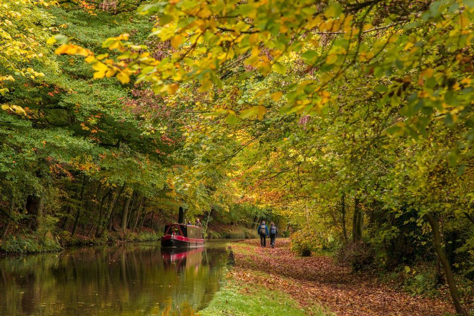 FREE Lets Walk Goytre Wharf Guided Walk on The Mon & Brec Canal (21st