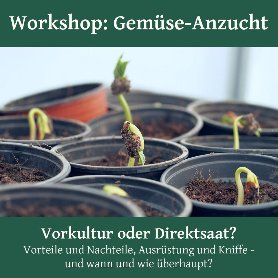 Gemüseanzucht, Bunte Gärten Leipzig e.V., 6 May 2023