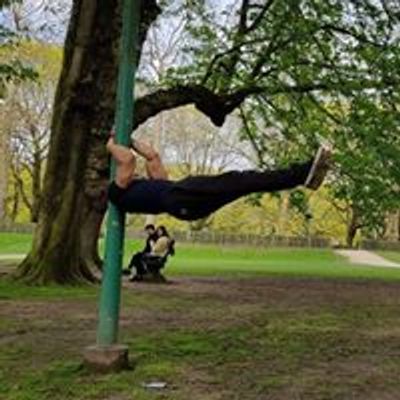 Brussels Calisthenics