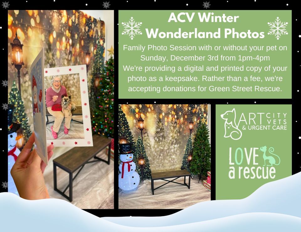 ACV Winter Wonderland Photos, Art City Vets & Urgent Care, Philadelphia