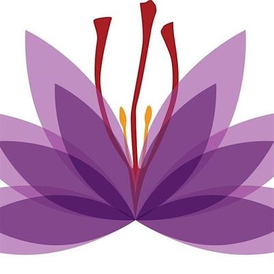 Saffron Academy Limited logo