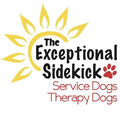 The Exceptional Sidekick