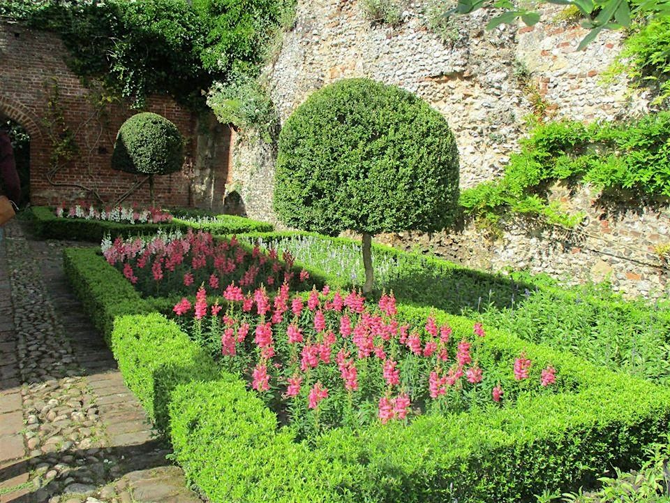 Summer School -Recalibrating our relationship with nature and biodiversity, 18 September | Event in Compton Dundon