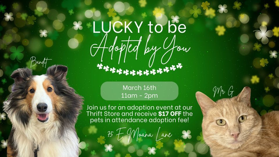 Lucky to be Adopted by You, SPCA of Northern Nevada Thrift Store, Reno