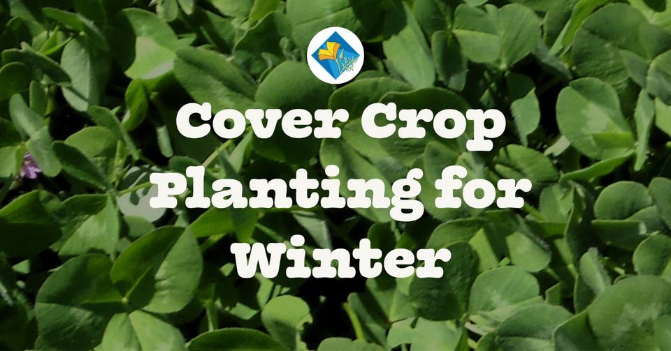 Cover Crop Planting For Winter The Gardens At Lake Merritt Oakland cover-crop-planting-for-winter-the-gardens-at-lake-merritt-oakland