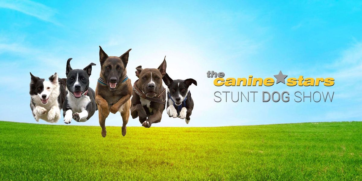 The Canine Stars Stunt Dog Show, 24 January | Event in Cerritos | AllEvents