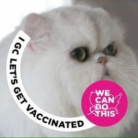 User profile photo