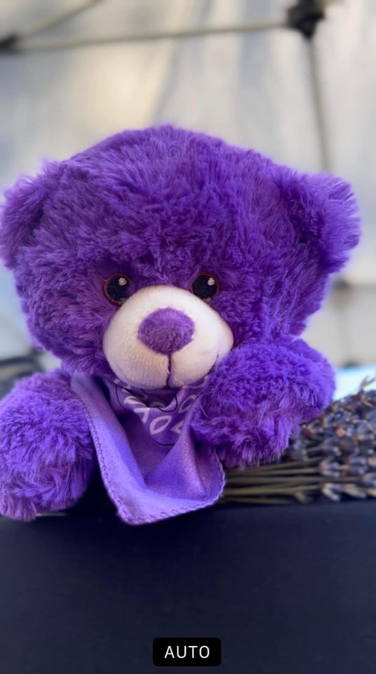 Build a Bear Event, Charrette Creek Commons, New Melle, February 10