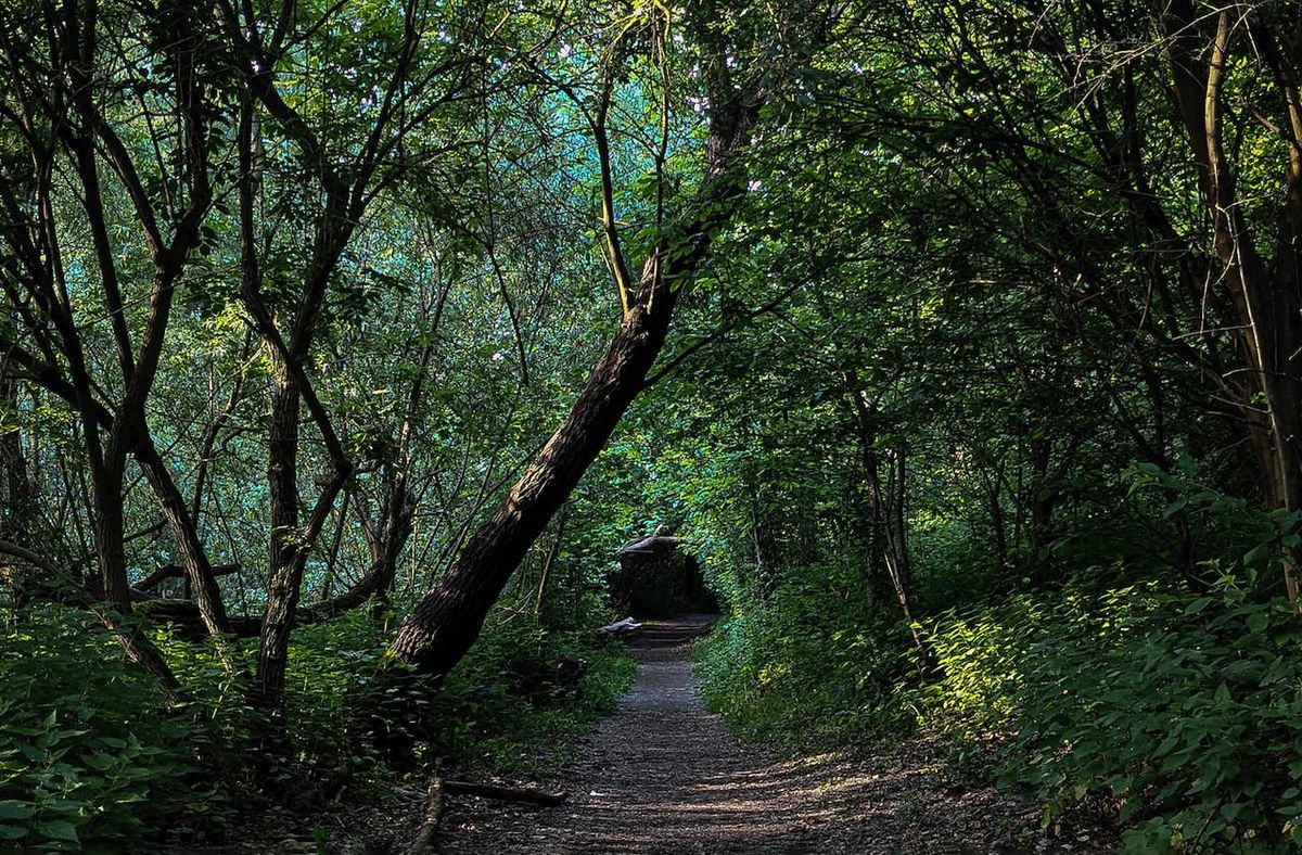 San Francisco Ballet - La Sylphide, 12 April | Event in San Francisco | AllEvents