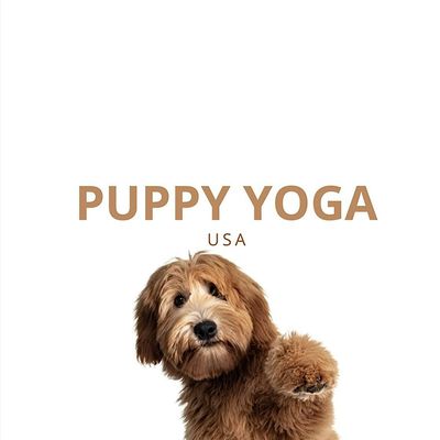 Puppy Yoga Chicago logo
