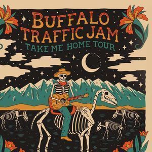 Buffalo Traffic Jam