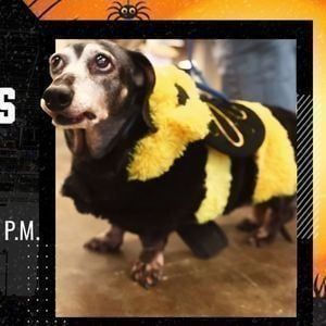 Kalamazoo Wings vs. Indy Fuel