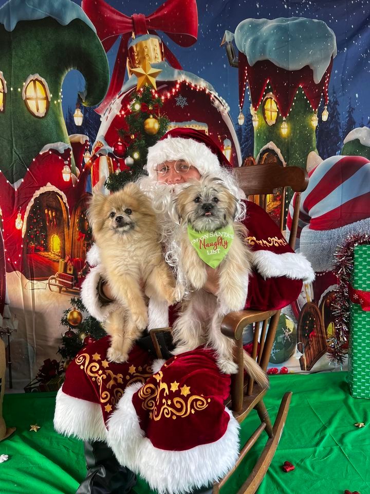 Holiday Pet Pictures, 16058 Spielman Rd, Williamsport, MD, December 10