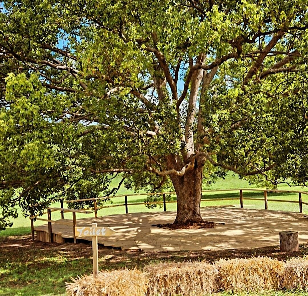 Caliu + Sleepy Barn Pasta Night Pop Up, 20 December | Event in Sleepy Hollow | AllEvents