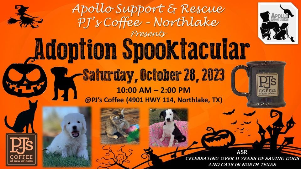 3rd Annual Pet Adoption Spooktacular, PJ's Coffee Fort Worth