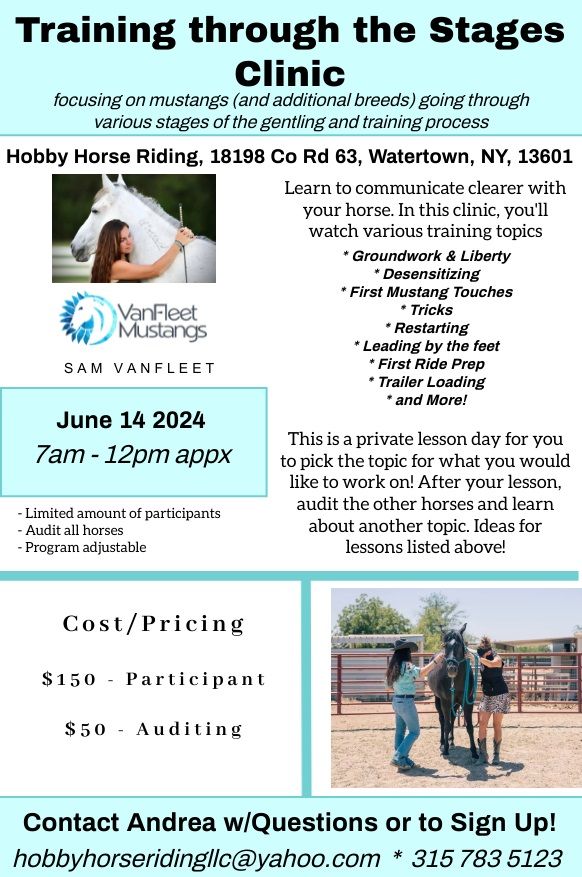Private Horsemanship Sessions NY, Hobby Horse Riding LLC, Adams