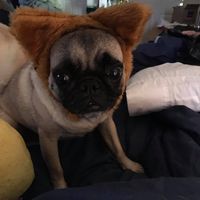 User profile photo