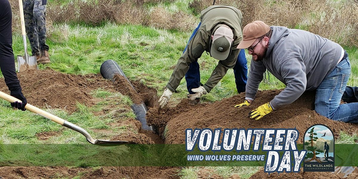 Volunteer Day: Artificial Den Installation - Wind Wolves Preserve