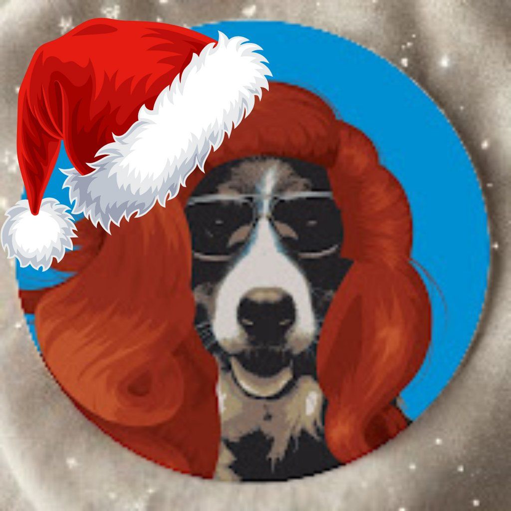 The Kings Heath Christmas Pantomime | Event in Birmingham | AllEvents