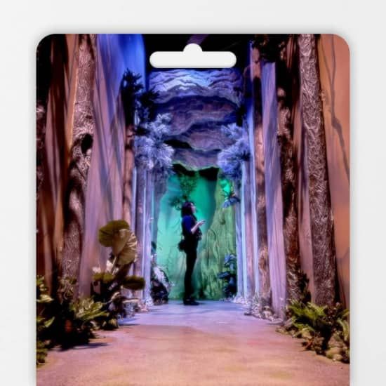 Shiki Dreams: An Immersive Art Experience - Gift Card, 1 January | Online Event | AllEvents