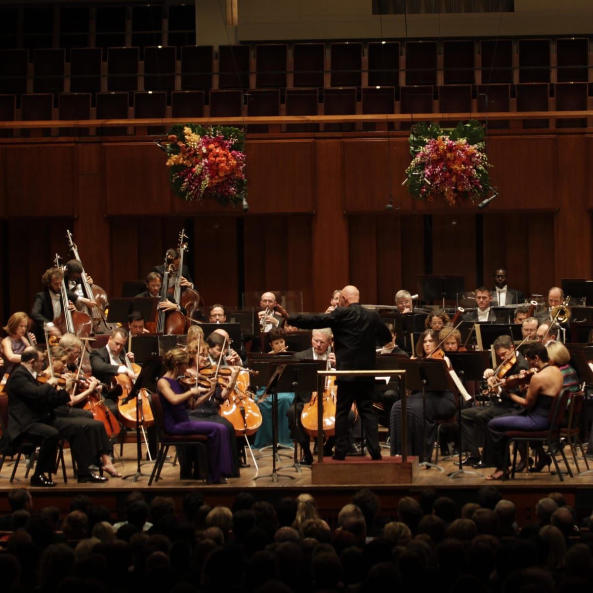 National Symphony Orchestra - Amadeus at Kennedy Center Concert Hall, 4 June | Event in Washington | AllEvents