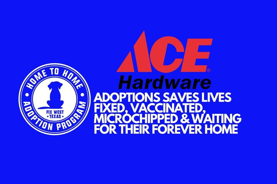 Ace Hardware Adoption Event, Westlake Ace Hardware Midland, February 3