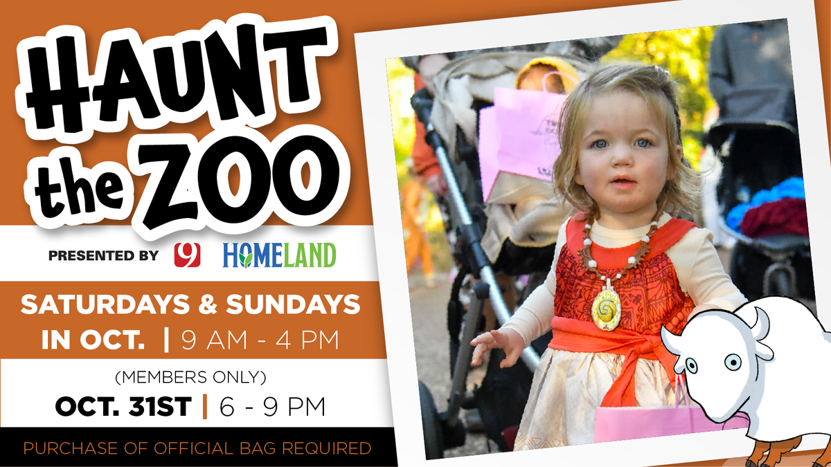 The Haunt, 20 December | Event in Portland | AllEvents