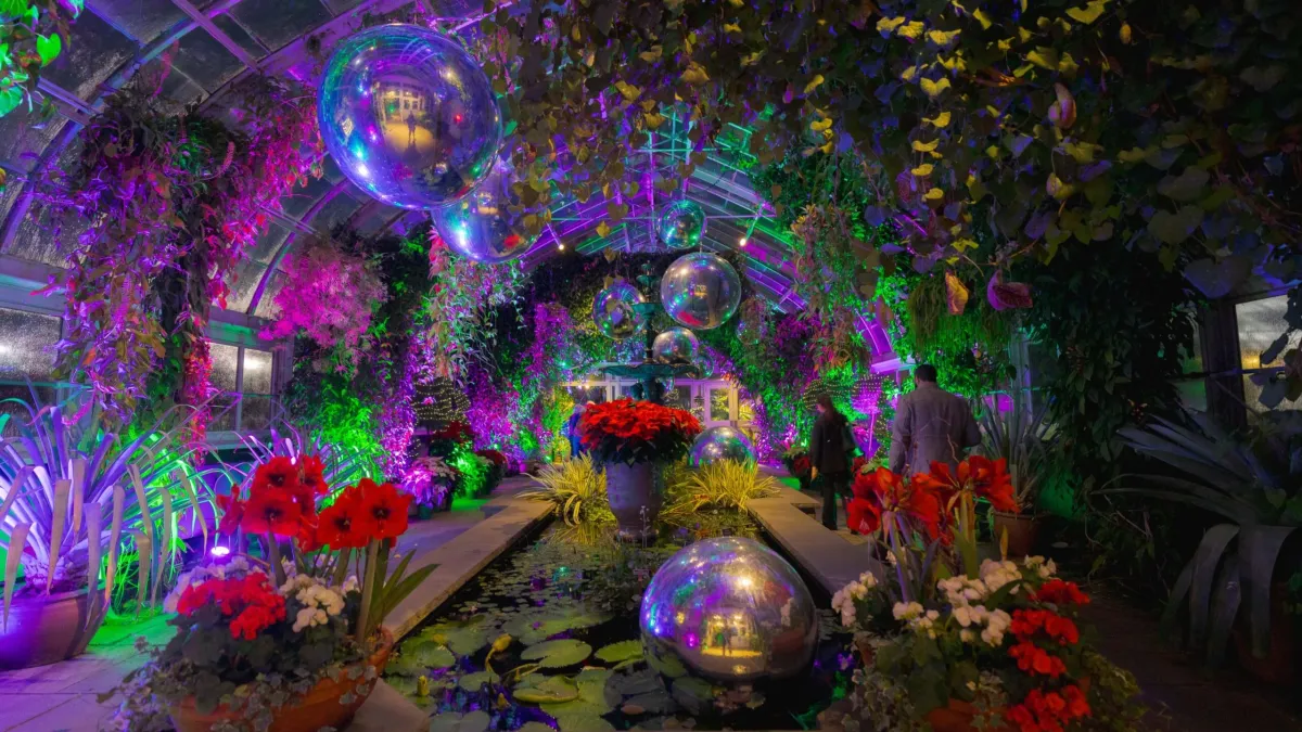 🎄 Annual NY Xmas Trip🚂 ADVANCE TIMED TICKET REQ. TO MOVE OFF THE WAITLIST, 6 December | Event in Bronx 