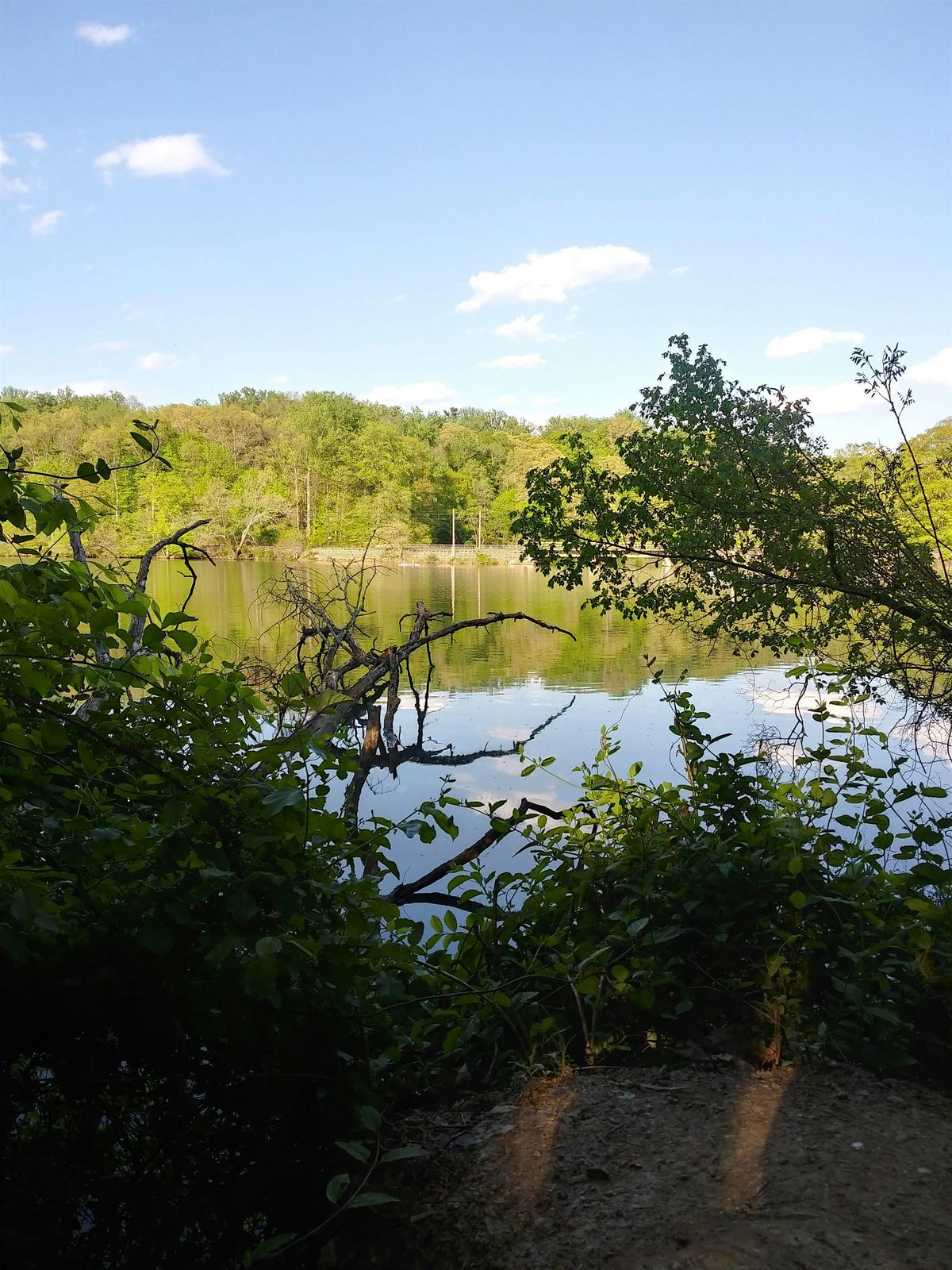 Middle Jones Falls Stakeholder Meeting, 24 January | Event in Baltimore | AllEvents