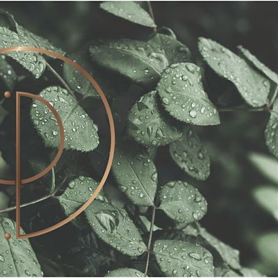 Pleiadian Healing logo