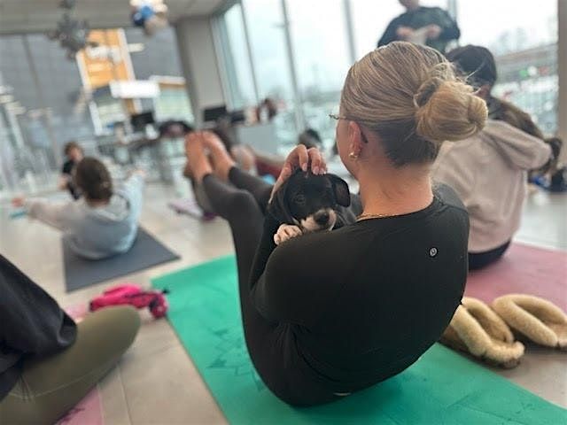Holiday Puppy Yoga at Hexagon Alley with Sarah's Yoga Studio, 14 December | Event in Columbia | AllEvents