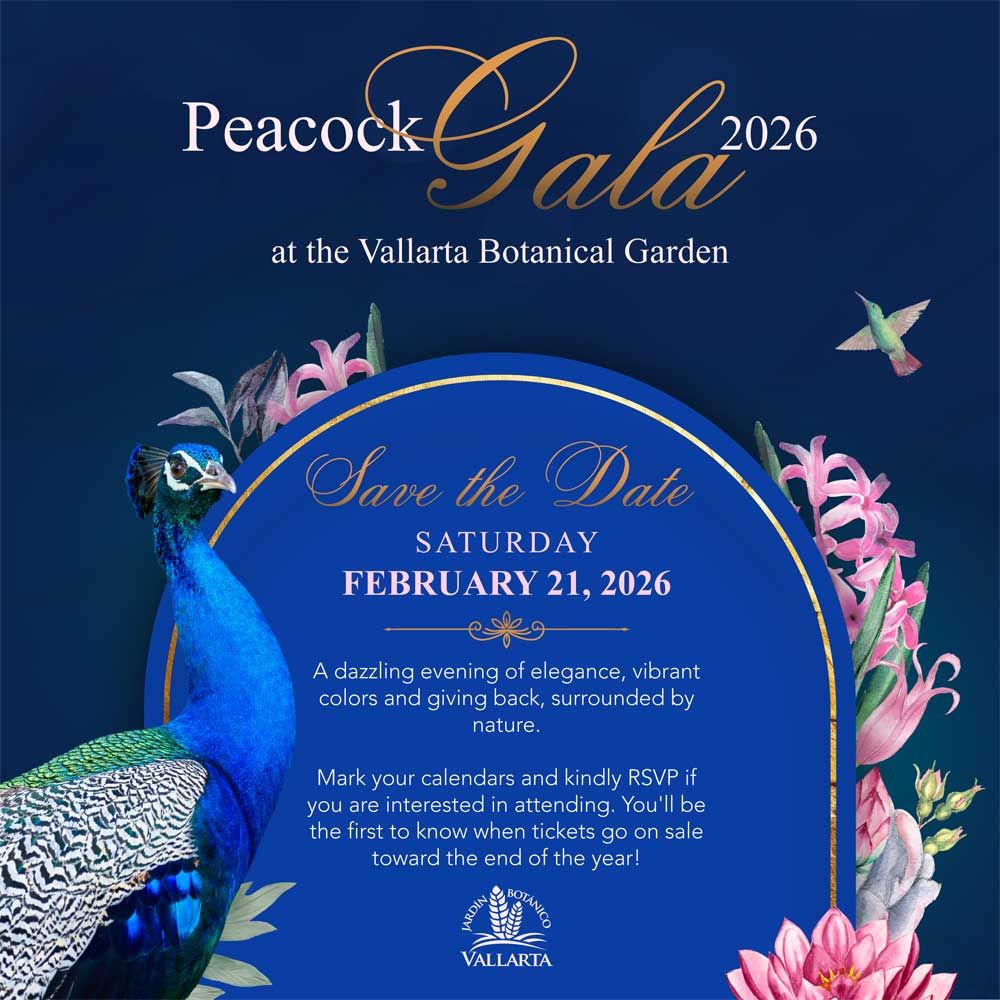 Gadan, 29 January | Event in Viroqua | AllEvents